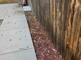 Weeding by Jason Hernandez for Lyle H. in Lakewood, CO