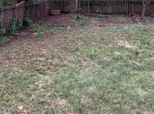 Leaf Removal by Robert Tillman for Reshoda C. in Columbus, OH