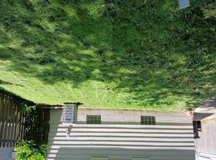 Sara M.'s Grass Cutting service result
