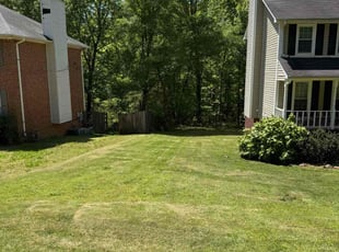 Ken P.'s Lawn Mowing Service service result