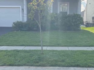 Brian G.'s Lawn Service service result