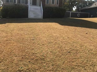 Bush Trimming by Demetrius Mitchell for Shakita P. in Jonesboro, GA