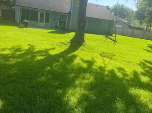 Stacey R.'s Lawn Care service result