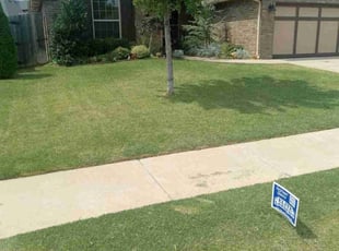Grace H.'s Grass Cutting service result