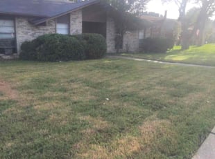 Bush Trimming by Brian Orozco for Jonathan G. in The Colony, TX