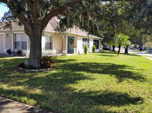 Michelle P.'s Lawn Mowing service result