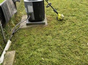 Diane H.'s Lawn Service service result