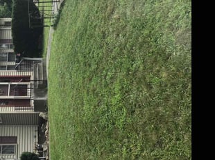 Ashley S.'s Lawn Mowing service result