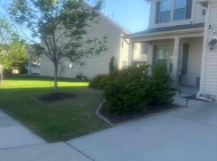 Amjad H.'s Lawn Mowing service result