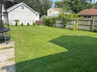 Linda W.'s Lawn Mowing service result