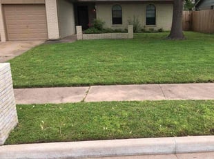 Matthew R.'s Lawn Care service result