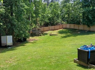 Jasmine A.'s Grass Cutting service result
