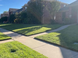 Kelly S.'s Lawn Mowing service result