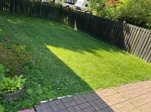 Victor V.'s Lawn Care service result