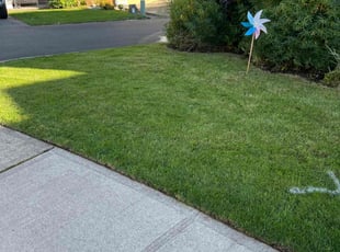 Shannon C.'s Lawn Service service result