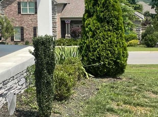 Bush Trimming by D Sheadrick for Kevin P. in Murfreesboro, TN