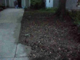 Cleanups by Amanda Fogel for Carolyn F. in Independence, MO