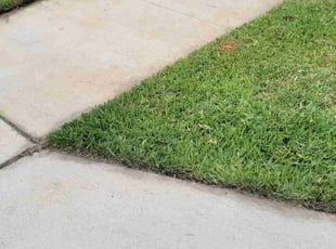 Randall M.'s Lawn Service service result