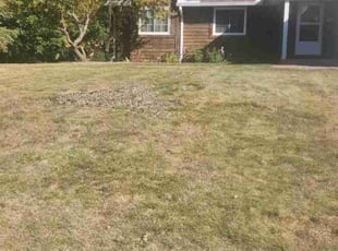 Leaf Removal by Kevin Mcguinness for Tamara B. in Eagan, MN