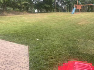 Josh P.'s Lawn Mowing Service service result