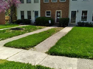 Landscaping by Marcus Graves for Shelby Ann F. in Lexington, KY