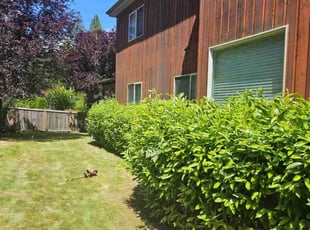 Kyle M.'s Lawn Care service result