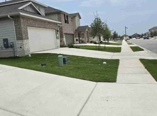 Daisy F.'s Lawn Mowing Service service result