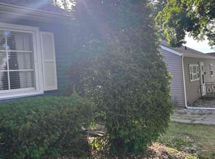 Bush Trimming by Marcus Hessey for Sharon G. in South Bend, IN