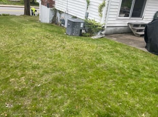 Bush Trimming by Steve Valverde for Patricia W. in North Attleborough, MA