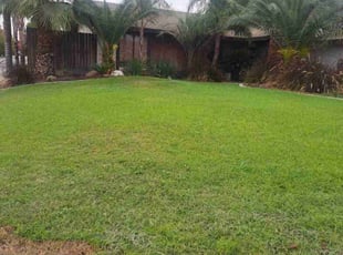 Angelica A.'s Lawn Service service result