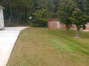 Brandis G.'s Lawn Care service result