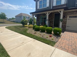 Bush Trimming by Daniel Reyes for Bill B. in Fort Mill, SC