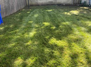 Mike M.'s Lawn Mowing service result