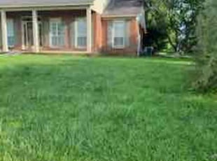 Joanna P.'s Lawn Care service result