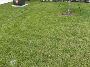 Matthew S.'s Lawn Service service result
