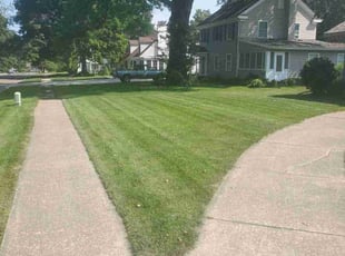 Shannon C.'s Lawn Mowing Service service result