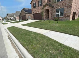 Brandi B.'s Grass Cutting service result