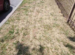 Cleanups by Timothy Vargas for Tara W. in San Bernardino, CA
