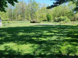Randi A.'s Lawn Service service result