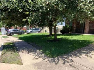 Sarah B.'s Lawn Mowing Service service result