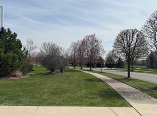 Geneva s.'s Lawn Service service result