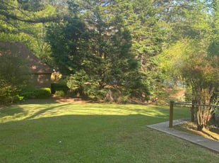 Mike B.'s Lawn Service service result