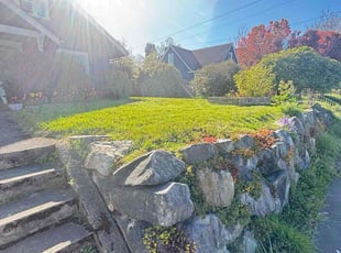 Torian S.'s Lawn Care service result