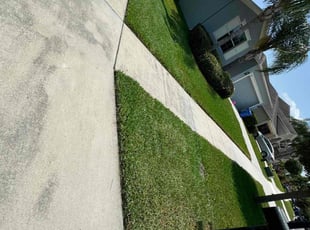 Brandon B.'s Lawn Mowing service result