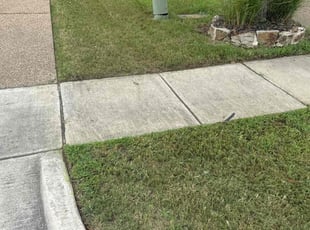 Kimberly P.'s Grass Cutting service result