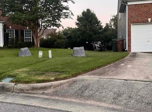 Donna S.'s Grass Cutting service result