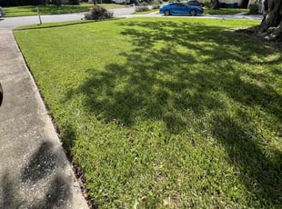 Thomas S.'s Lawn Mowing service result
