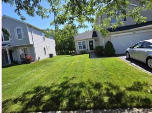 Darryl H.'s Lawn Care service result