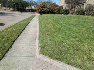 TDarius J.'s Lawn Mowing service result