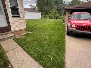 Antonio M.'s Lawn Care service result